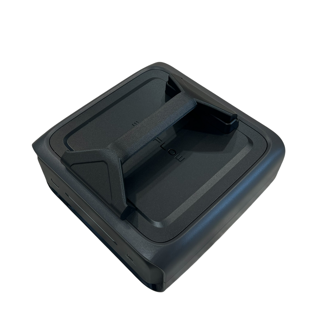 Quick-Detach Carry Handle for EcoFlow EB300 Only